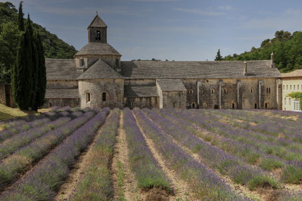 Explorando as Ervas de Provence
